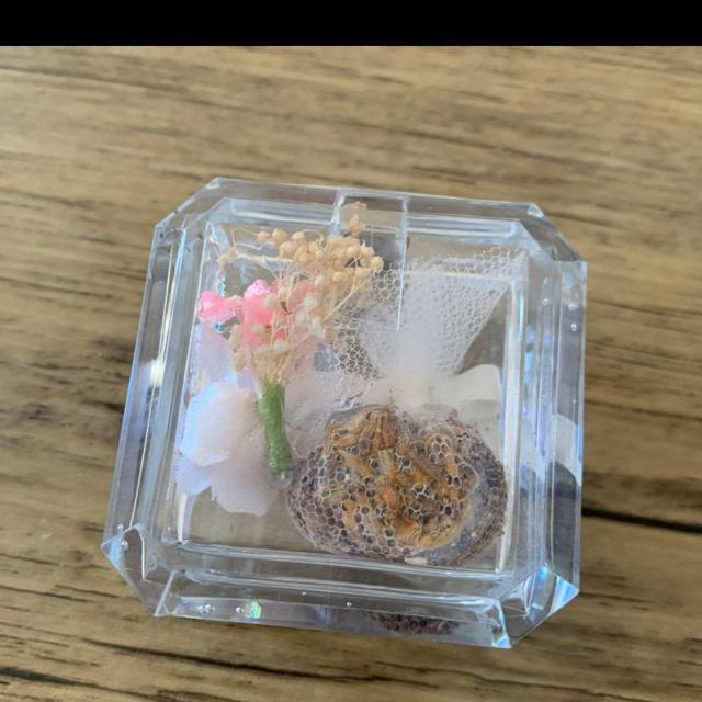 �|�v�����聚�v���X�`�b�N�P�[�X����B�C���e���A �� �C���e���A/���C�t�� 