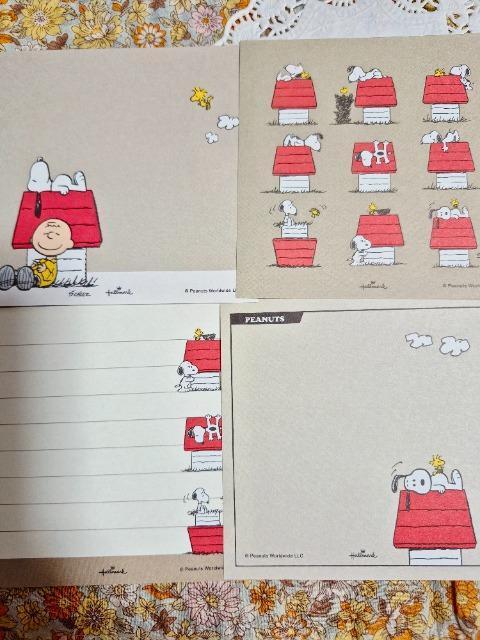 �����������X�k�[�s�[����4����  �� �C���e���A/���C�t�� 