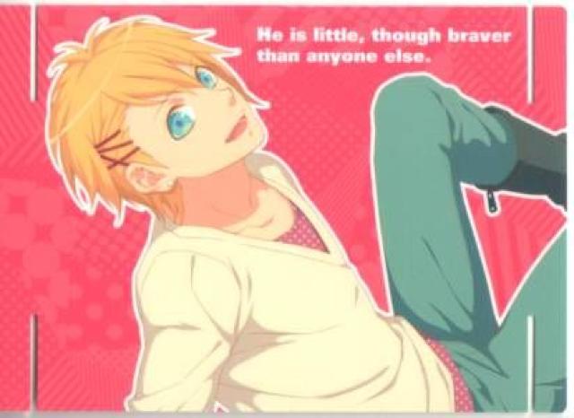 vgJ@Dreaming CollectionN06@   g[fBOJ[h 