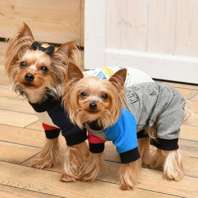 SALE●定価3,218円●LOGOSロゴス【新品】ドッグウェアーロンパース●DM●犬服 ペットウェア < ペット/手芸/園芸  SALE●定価3,218円●LOGOSロゴス【新品】ドッグウェアーロンパース●DM●犬服 ペットウェア < ペット/手芸/園芸の