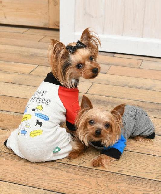 SALE●定価3,218円●LOGOSロゴス【新品】ドッグウェアーロンパース●DM●犬服 ペットウェア < ペット/手芸/園芸  SALE●定価3,218円●LOGOSロゴス【新品】ドッグウェアーロンパース●DM●犬服 ペットウェア < ペット/手芸/園芸の