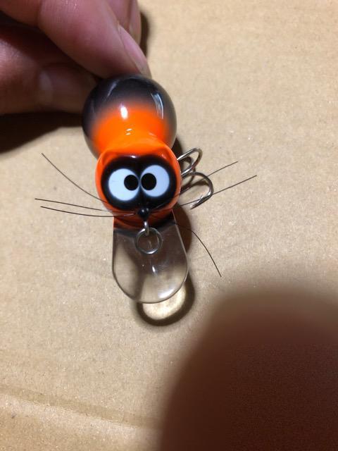 ズイール アライ君 小 < レジャー/スポーツ ズイール アライ君 小 < レジャー/スポーツの