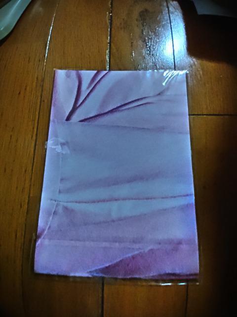 浅倉唯  ビッグポスター < ホビー  浅倉唯  ビッグポスター  < ホビーの