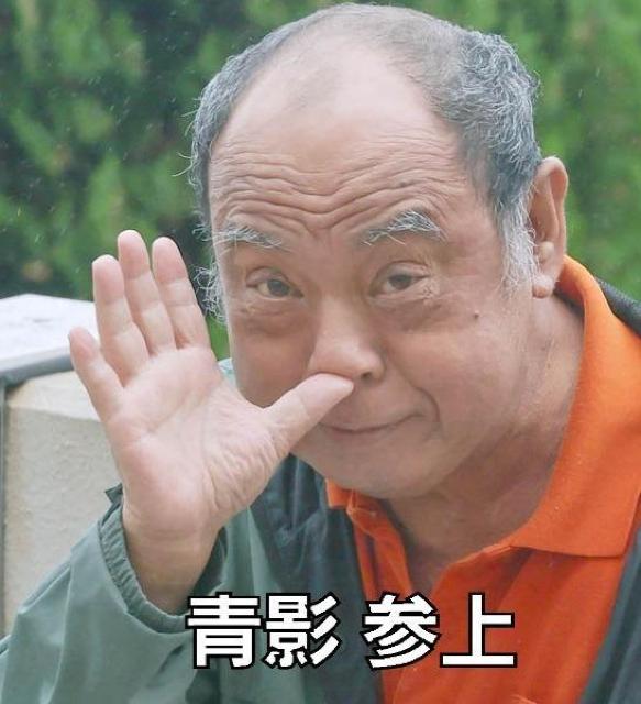 Vigp^yXg[ ʂ̔E.ԉe.e.e  CeA/Ct 