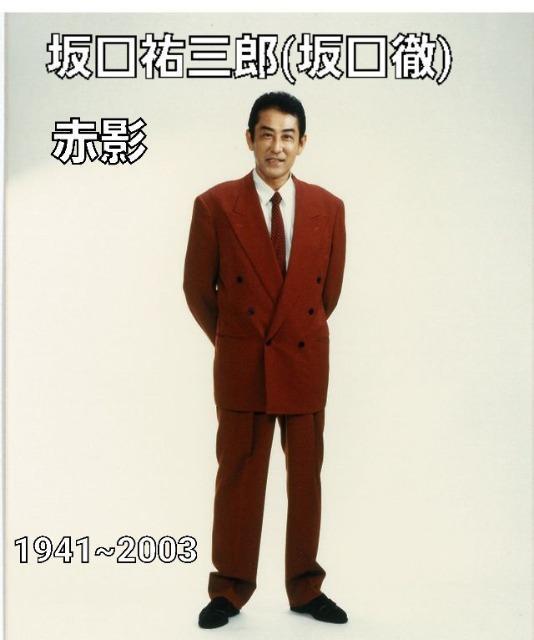 Vigp^yXg[ ʂ̔E.ԉe.e.e  CeA/Ct 