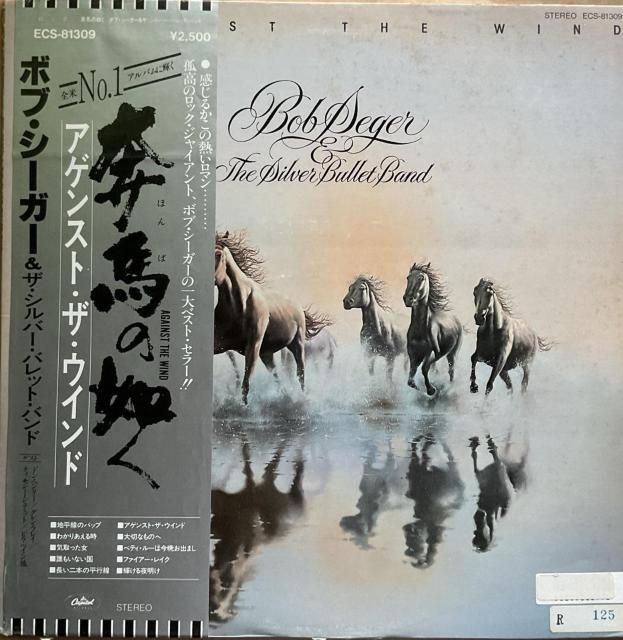 zn̔@ / {uEV[K[  CD/DVD/rfI 