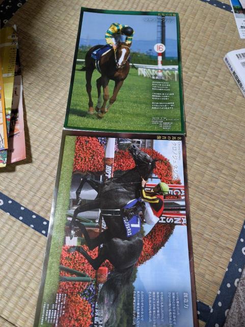 2025Vc܏tˋLOnJÃ[VOvO  zr[ 