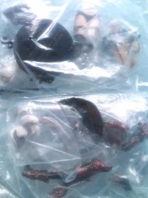 SRl[WU(_[NGt)2큛(V[Nbg/A[}[Em[})  zr[ 