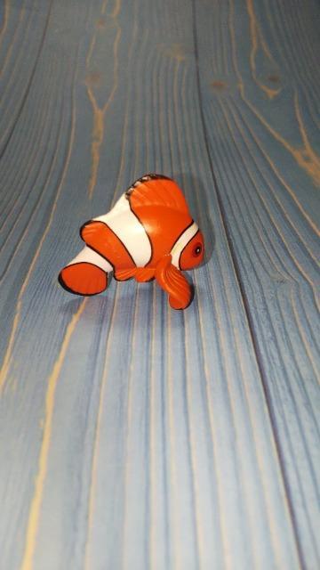 PUTITTO MUSEUM SERIESニフレル限定品カクレクマノミコップのフチ子仲間フィギュアキタンクラブガチャガシャポン < ホビー  PUTITTO MUSEUM SERIESニフレル限定品カクレクマノミコップのフチ子仲間フィギュアキタンクラブガチャガシャポン  < ホビーの
