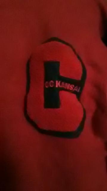 16*KANSAI *jbg  t@bV 