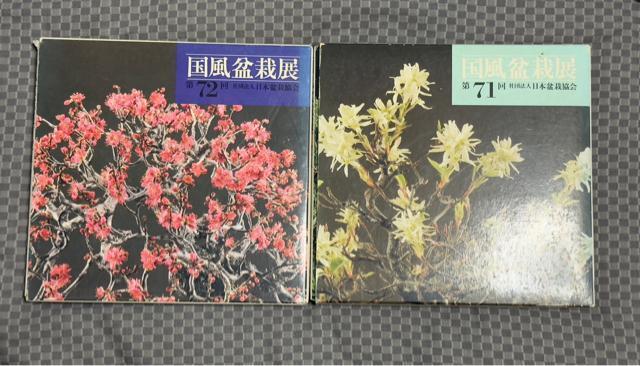 国風盆栽展 日本盆栽協会 第71回 第72回 < ペット/手芸/園芸 国風盆栽展 日本盆栽協会 第71回 第72回 < ペット/手芸/園芸の