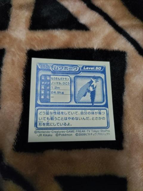 |PV[2009sJ`EvWFNgNz[N