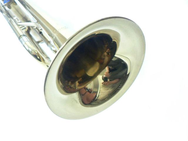 Amati Kraslice gybgE󏭁EI  zr[ 