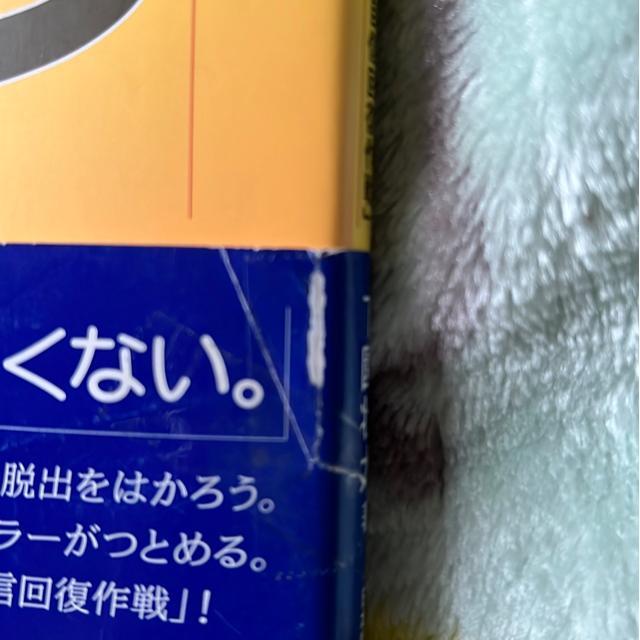 ̒Eo/v`FmÖ@ŁuM񕜍v/s  {/G 