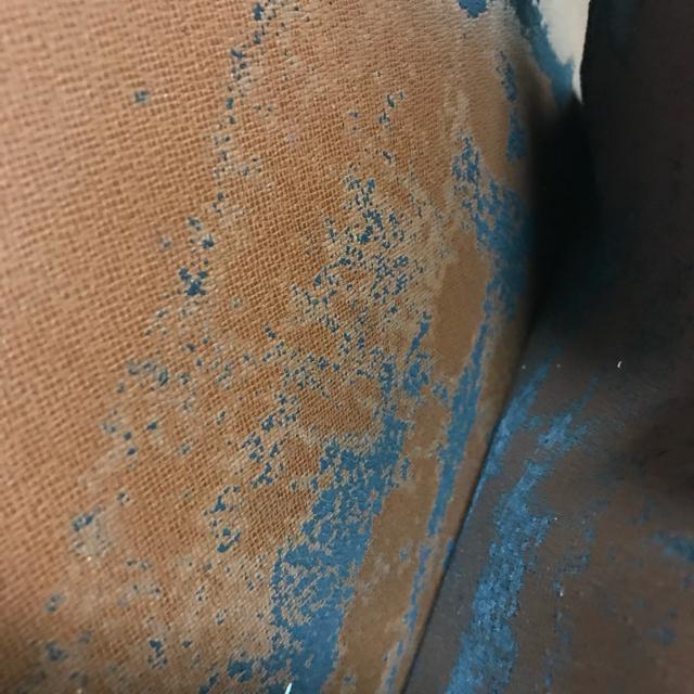 A Ki CBg {20Nf u[tP[X M99071  uh 