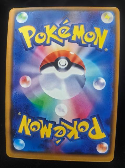 �y���i�z�|�P�J ���K�Q���K�[ex SAR 240/193  ���K�Q���K�[ex SAR �� �g���[�f�B���O�J�[�h�� 