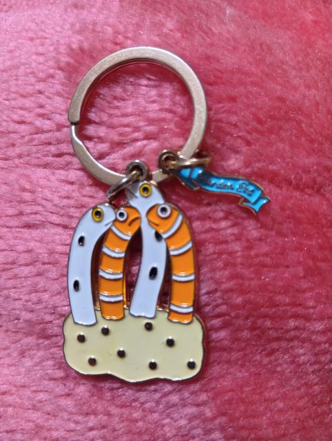 FIELD POINT  �`���A�i�S�@�L�[�z���_�[�@  �� �z�r�[�� 