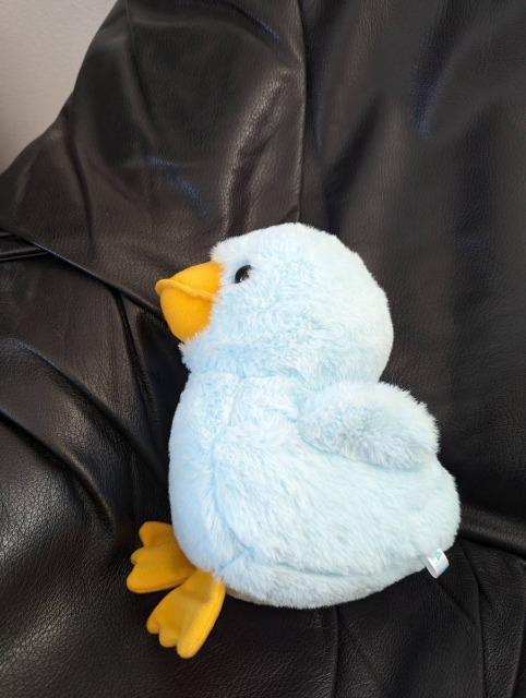 あひるの4兄弟/あひるの四兄弟/ぬいぐるみ/あひる/ダック/ぬいぐるみ/ブルー/あるまど < おもちゃ あひるの4兄弟/あひるの四兄弟/ぬいぐるみ/あひる/ダック/ぬいぐるみ/ブルー/あるまど < おもちゃの