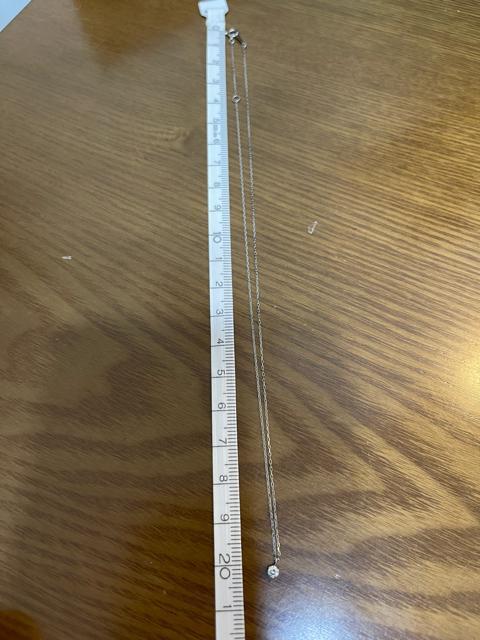 Pt850 Pt900 �_�C�������h0.07ct �ꗱ�l�b�N���X �v���`�i �\���e�B�A ���t�� �l�b�N���X �v���`�i �_�C�������h �� �����A�N�Z�T���[/���v�� 