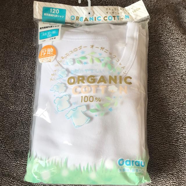 ♯新品♯120☆☆厚地オーガニックコットン2枚組男児長袖丸首シャツ2枚組 < キッズ/ベビー  ♯新品♯120☆☆厚地オーガニックコットン2枚組男児長袖丸首シャツ2枚組  < キッズ/ベビーの