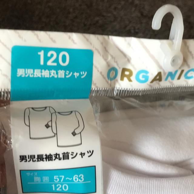 ♯新品♯120☆☆厚地オーガニックコットン2枚組男児長袖丸首シャツ2枚組 < キッズ/ベビー  ♯新品♯120☆☆厚地オーガニックコットン2枚組男児長袖丸首シャツ2枚組 < キッズ/ベビーの
