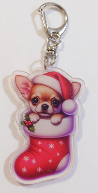 `ANL[z_[Vi@@`@@`T^@@T^`@@`ObY@@@`ANZT[@#   t@bV 