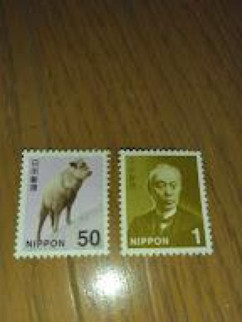 ���g�p�@���ʐ؎�50�~��1�� 1�~��1���@����  �� �z�r�[�� 