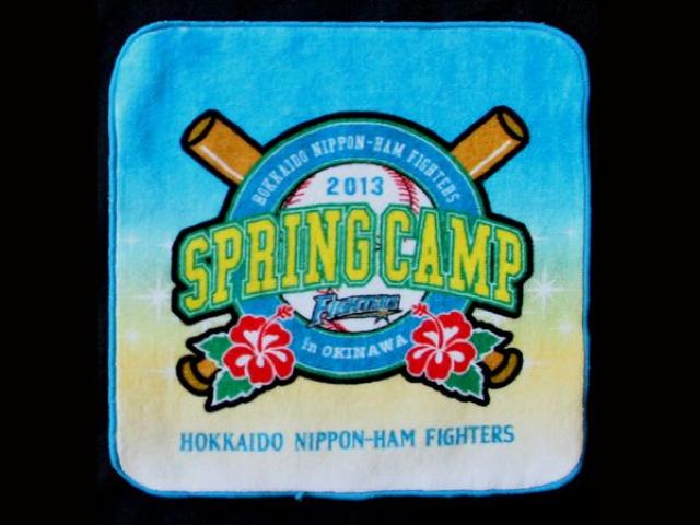 y{nt@C^[Yz2013 SPRING CAMP nh^I()   W[/X|[c 