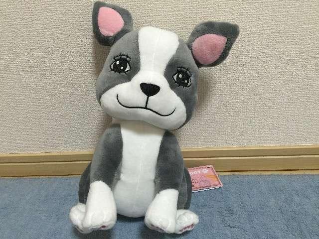 WW̊Ȗ` I LOVE IGGY łʂ S1   Aj/R~bN/LN^[ 