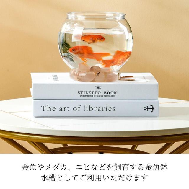  ی^ v  NA  vX`bN y CeA  ybg/|/| 