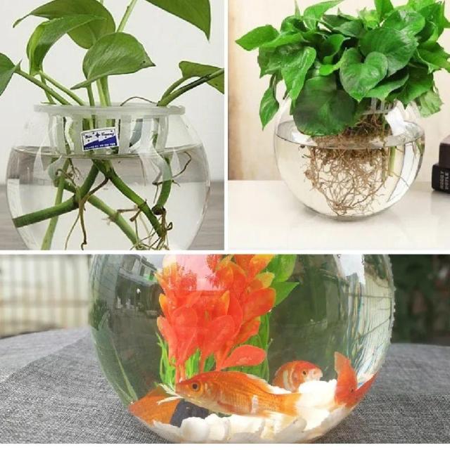  ی^ v  NA  vX`bN y CeA  ybg/|/| 