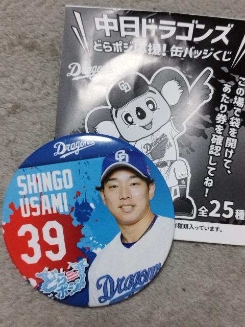 hSY ǂ|WIʃobW F^   W[/X|[c 