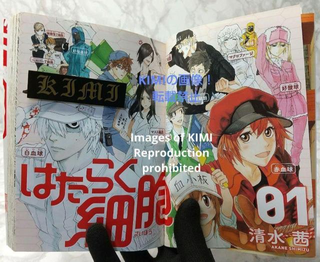 初版 はたらく細胞 1 コミック 漫画 本 2015 清水 茜 (著) しみず あかね シリウスコミックス Rare 1st Ed < アニメ/コミック/キャラクター  初版 はたらく細胞 1 コミック 漫画 本 2015 清水 茜 (著) しみず あかね シリウスコミックス Rare 1st Ed < アニメ/コミック/キャラクターの