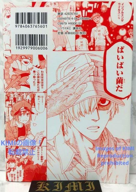 初版 はたらく細胞 1 コミック 漫画 本 2015 清水 茜 (著) しみず あかね シリウスコミックス Rare 1st Ed < アニメ/コミック/キャラクター  初版 はたらく細胞 1 コミック 漫画 本 2015 清水 茜 (著) しみず あかね シリウスコミックス Rare 1st Ed < アニメ/コミック/キャラクターの