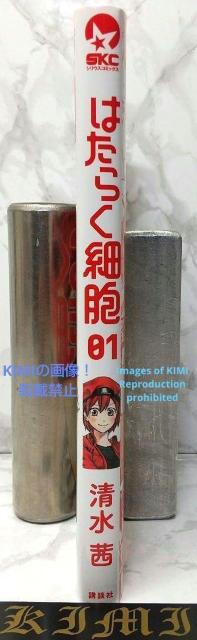 初版 はたらく細胞 1 コミック 漫画 本 2015 清水 茜 (著) しみず あかね シリウスコミックス Rare 1st Ed < アニメ/コミック/キャラクター  初版 はたらく細胞 1 コミック 漫画 本 2015 清水 茜 (著) しみず あかね シリウスコミックス Rare 1st Ed < アニメ/コミック/キャラクターの
