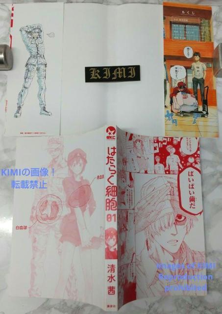 初版 はたらく細胞 1 コミック 漫画 本 2015 清水 茜 (著) しみず あかね シリウスコミックス Rare 1st Ed < アニメ/コミック/キャラクター  初版 はたらく細胞 1 コミック 漫画 本 2015 清水 茜 (著) しみず あかね シリウスコミックス Rare 1st Ed < アニメ/コミック/キャラクターの