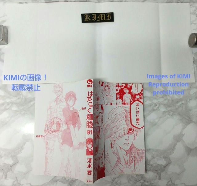 初版 はたらく細胞 1 コミック 漫画 本 2015 清水 茜 (著) しみず あかね シリウスコミックス Rare 1st Ed < アニメ/コミック/キャラクター  初版 はたらく細胞 1 コミック 漫画 本 2015 清水 茜 (著) しみず あかね シリウスコミックス Rare 1st Ed < アニメ/コミック/キャラクターの