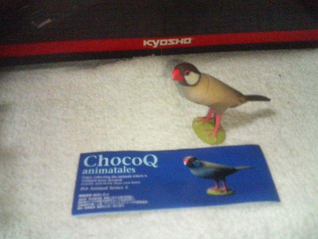 ^J  `RQ  Aj}3  u`E    Vi   zr[ 