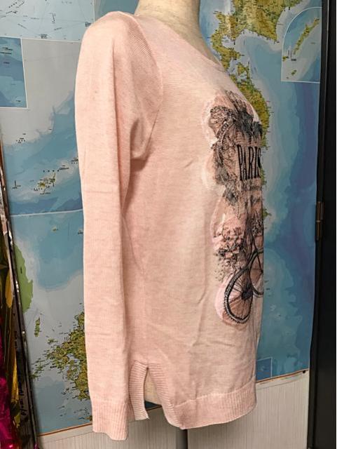 キラキラ刺繍入りセーター 韓国製 フリーサイズ < 女性ファッション  キラキラ刺繍入りセーター 韓国製 フリーサイズ < 女性ファッションの