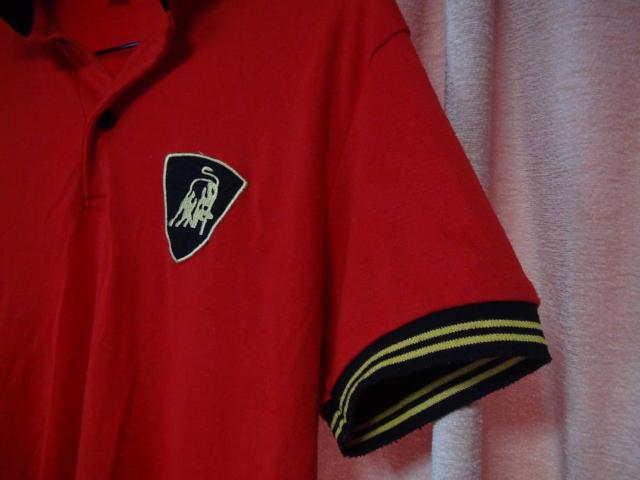 tF[[̐Ԃ̃|VciXL)IB  jt@bV 