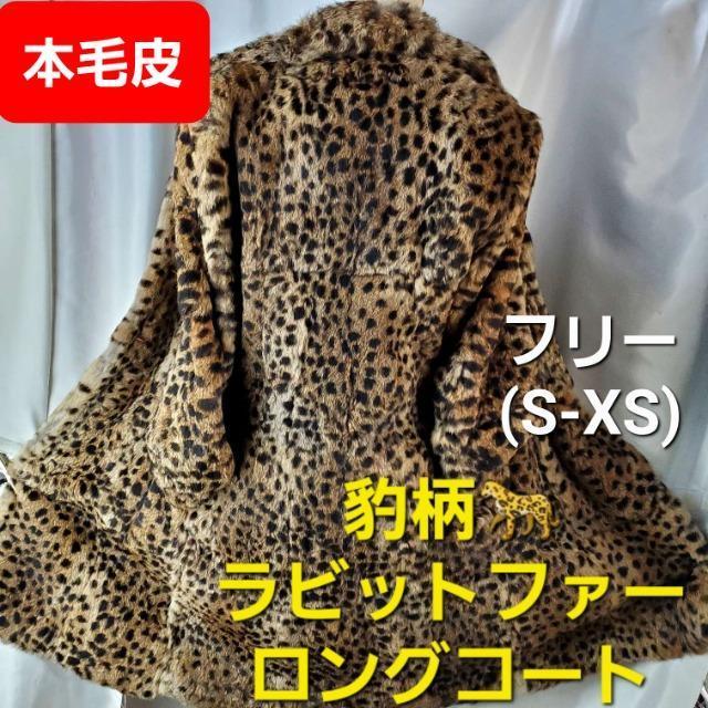 ݁є灚^rbgt@[OR[gS-XS   t@bV 