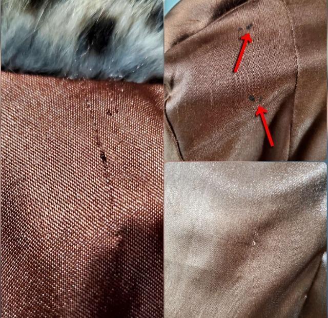 ݁є灚^rbgt@[OR[gS-XS  t@bV 