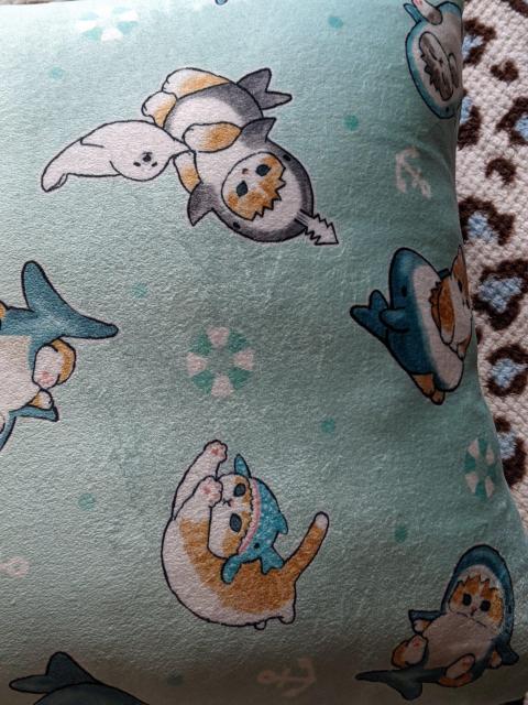 モフサンド スクエアクッション サメにゃんがいっぱい モフにゃん < アニメ/コミック/キャラクター モフサンド スクエアクッション サメにゃんがいっぱい モフにゃん < アニメ/コミック/キャラクターの