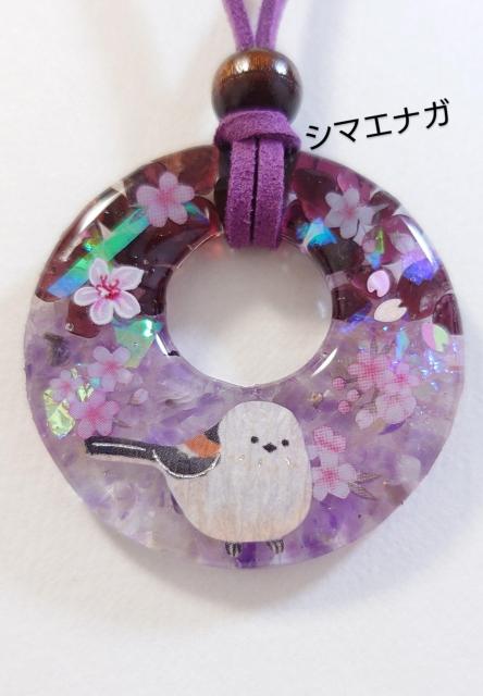 �V�}�G�i�K�V�R�΃��W���l�b�N���X���@�@�V�}�G�i�K�@�@�V�}�G�i�K�A�N�Z�T���[�@�@�V�}�G�i�K�O�b�Y�@�@�@���O�b�Y�@�@�@���A�N�Z�T���[ 