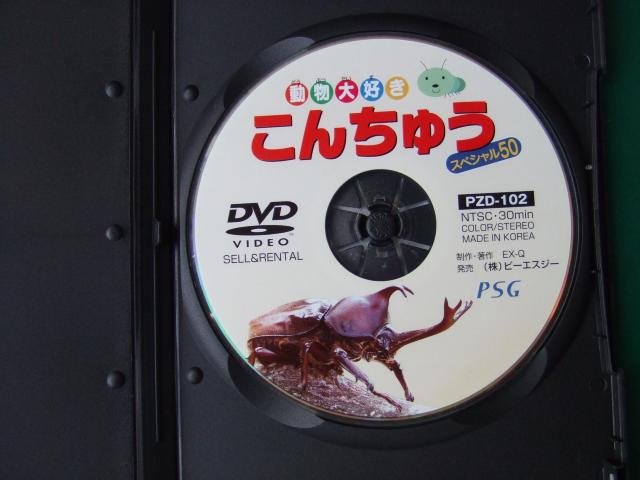 DVD DFu񂿂イAvcEwN  CD/DVD/rfI 