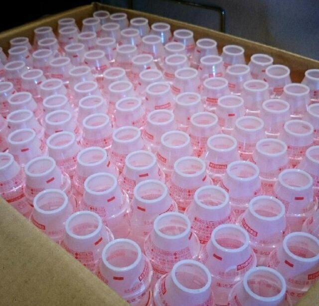 ヤクルト空容器★60本★冬休み★ハンドメイド★リサイクル★素材★保育園★幼稚園★小学生★宿題★手作りおもちゃ★リサイクル★送料無料 < ペット/手芸/園芸  ヤクルト空容器★60本★冬休み★ハンドメイド★リサイクル★素材★保育園★幼稚園★小学生★宿題★手作りおもちゃ★リサイクル★送料無料 < ペット/手芸/園芸の