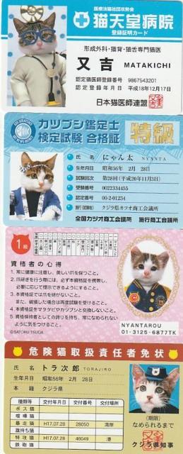 なめ猫パロディーカード 4種【B-20】 < ホビー  なめ猫パロディーカード 4種【B-20】  < ホビーの