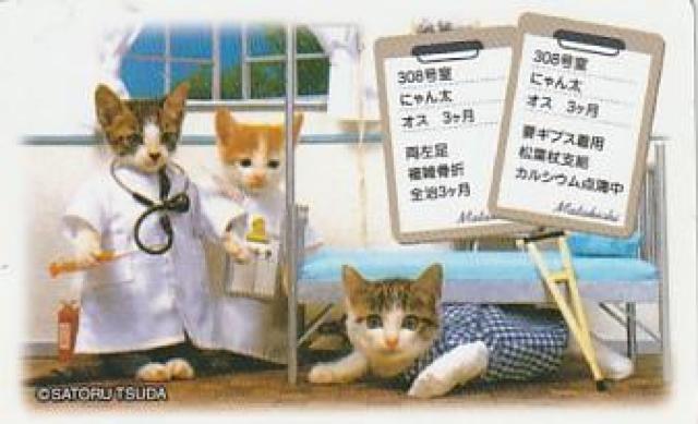 なめ猫パロディーカード 4種【B-20】 < ホビー  なめ猫パロディーカード 4種【B-20】 < ホビーの