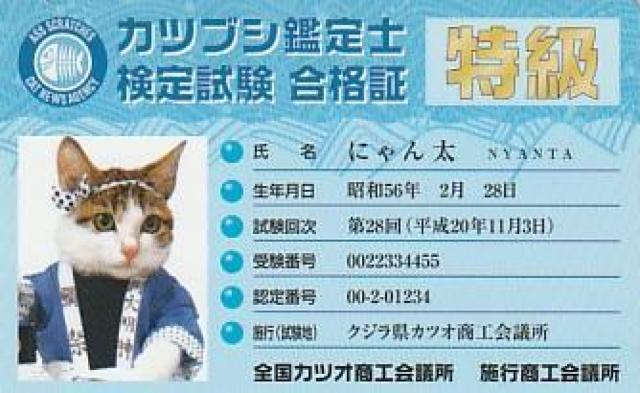 なめ猫パロディーカード 4種【B-20】 < ホビー  なめ猫パロディーカード 4種【B-20】 < ホビーの