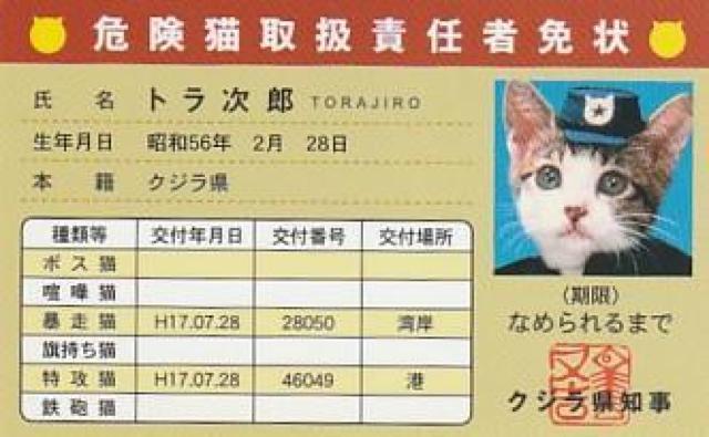 なめ猫パロディーカード 4種【B-20】 < ホビー  なめ猫パロディーカード 4種【B-20】 < ホビーの